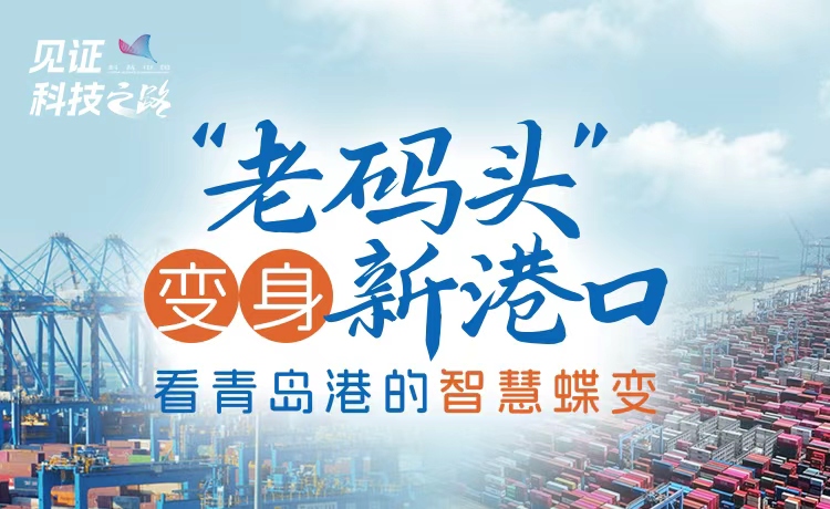 “老码头”变身新港口，看青岛港的智慧蝶变